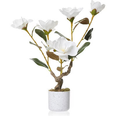 23.6 inch White Orchid Artificial Tree in Pot, Realistic Faux Orchid Plant with Lifelike Flowers and Leaves, Fake Flower for Home Office Living Room | Target