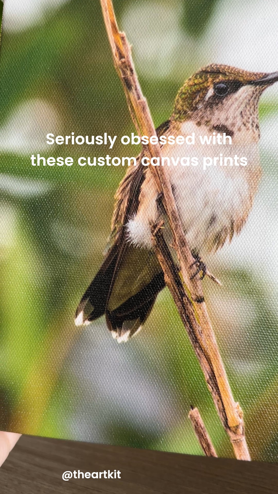 Seriously obsessed with these custom canvas prints. 😍 Upload your photo, pick the size, and it ships to your door.

#LTKHome #LTKFamily #LTKFindsUnder50