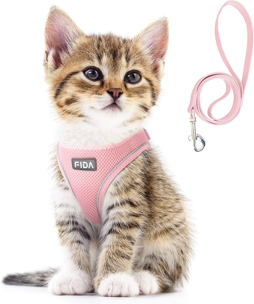 Fida Comfy Dog Harness with Leash, Cat Vest Harness Escape Proof, Breathable Lightweight Soft Mes... | Amazon (US)