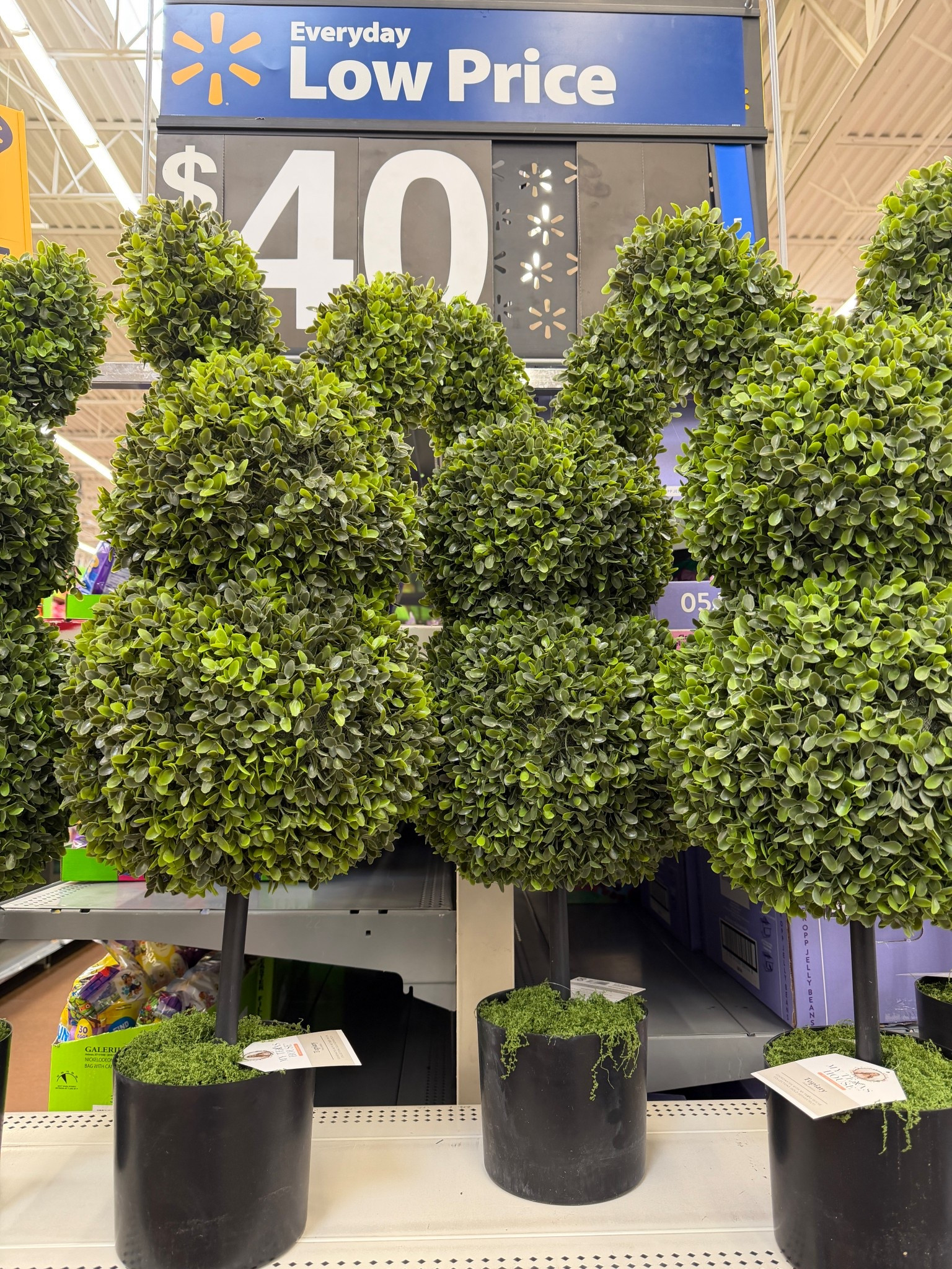 Bunny topiaries are back 

#LTKSeasonal #LTKHome