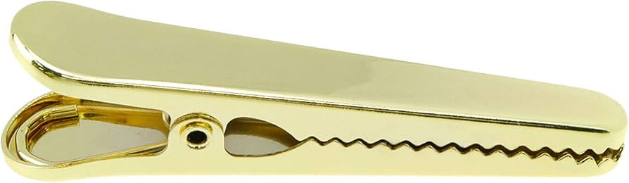 Curqia 4 Packs Stainless Steel Chip Clips Bag Clips Food Clips Heavy Duty Gold All-Purpose Seal C... | Amazon (UK)