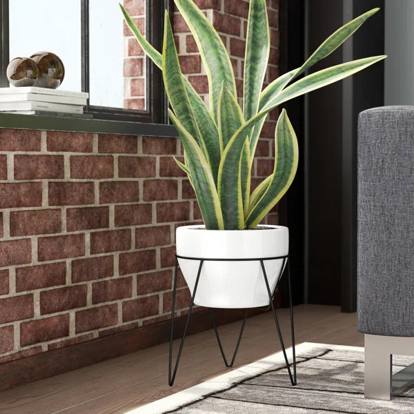Crim Premium Glazes Ceramic Pot Planter | Wayfair North America