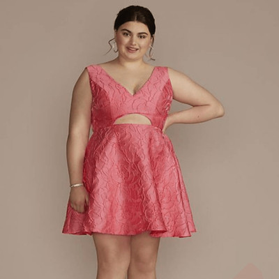 Jules and Cleo Plus Size 18 Short Jacquard Cutout A-Line Dress | eBay | eBay US