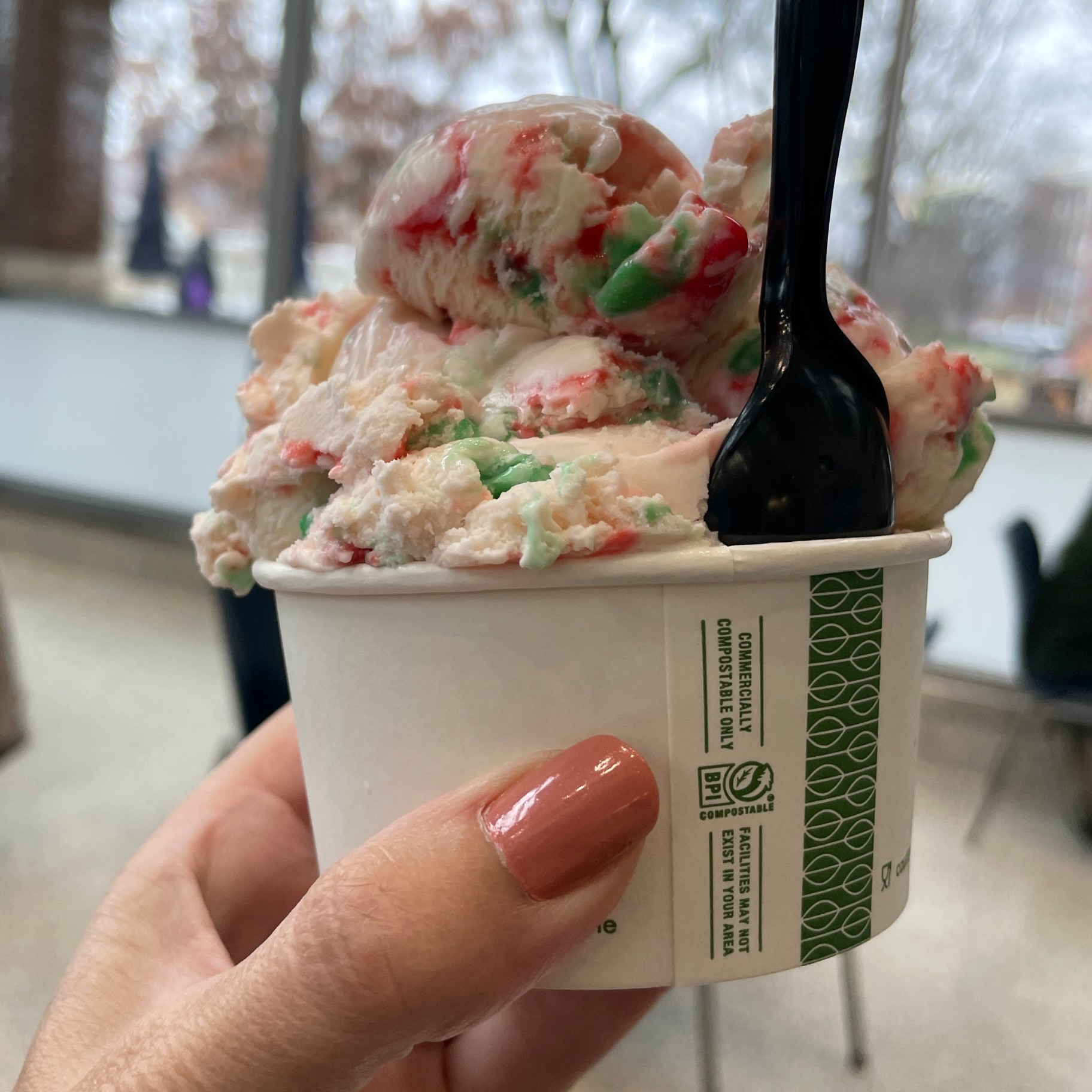 Travel nail polish and Christmas ice cream 🥰🙌❤️💚 peppermint stick ice cream to be exact. Yum!

#LTKfoodie #LTKFindsUnder50 #LTKBeauty