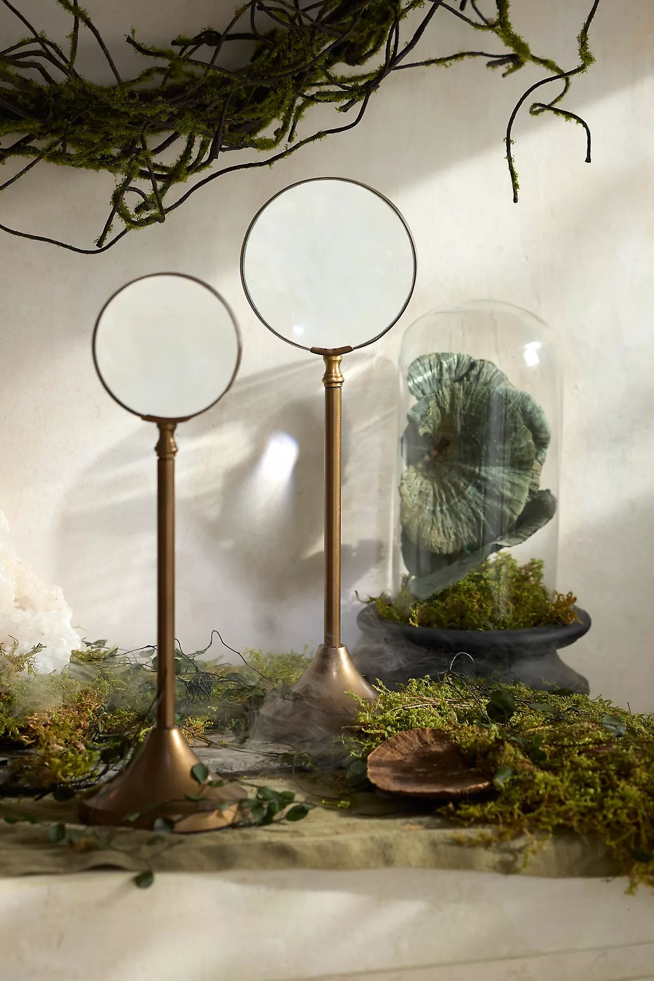 Magnifying Glass on Stand | Terrain