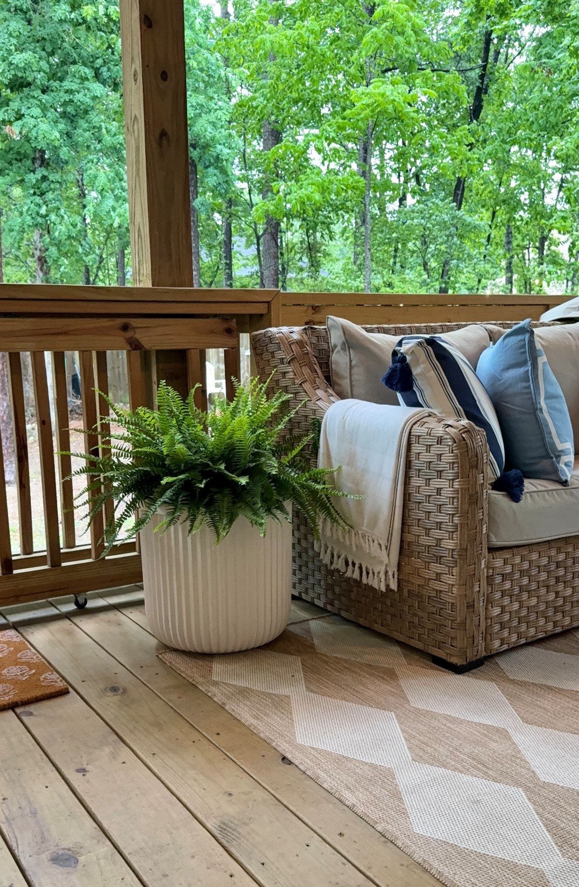 
I found the Boston ferns  2 for $20 and they instantly make your porch feel full, lush, and layered. These are one of the easiest ways to elevate your outdoor space without spending a fortune. Perfect for shaded spaces, they are pet friendly, and low maintenance. If your outdoor space feels like it’s missing something, this is your upgrade.

low maintenance outdoor plants, front porch decor, patio decor ideas, outdoor living spaces, budget friendly home updates

#LTKmomlife #LTKHome #LTKSeasonal