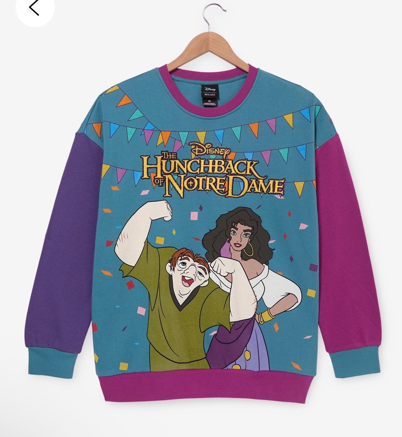 Disney The Hunchback of Notre Dame Esmeralda & Quasimodo Colorblock

#LTKgrwm #LTKootd #LTKfitnessgoals