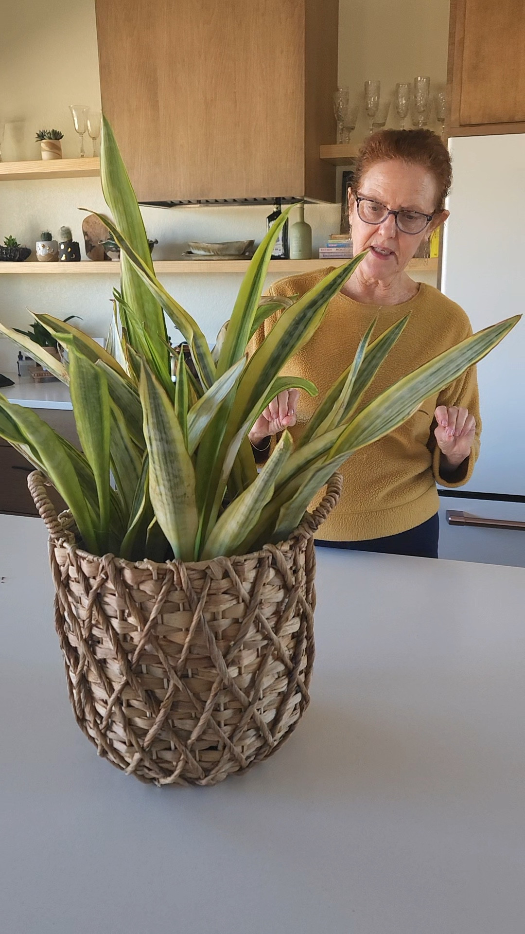 Looking for the perfect plant basket shop this one at Walmart, it is made by better homes andgarden. 

#LTKfindsunder100 #LTKfindsunder50 #LTKhome