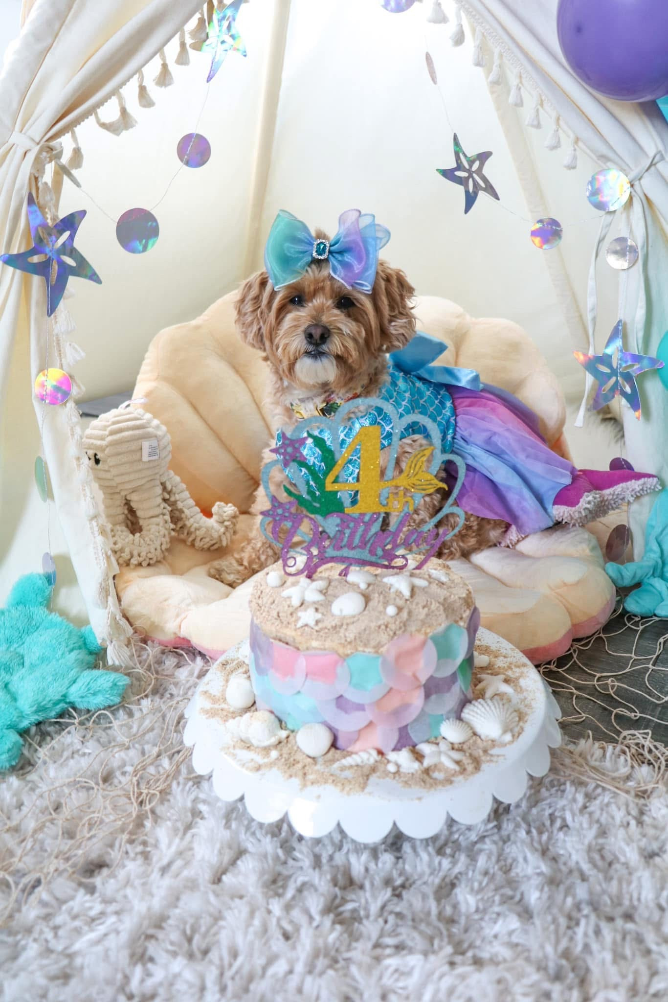 Mermaid dog birthday party set up! 
#dogbirthday

#LTKFamily #LTKPets #LTKParties