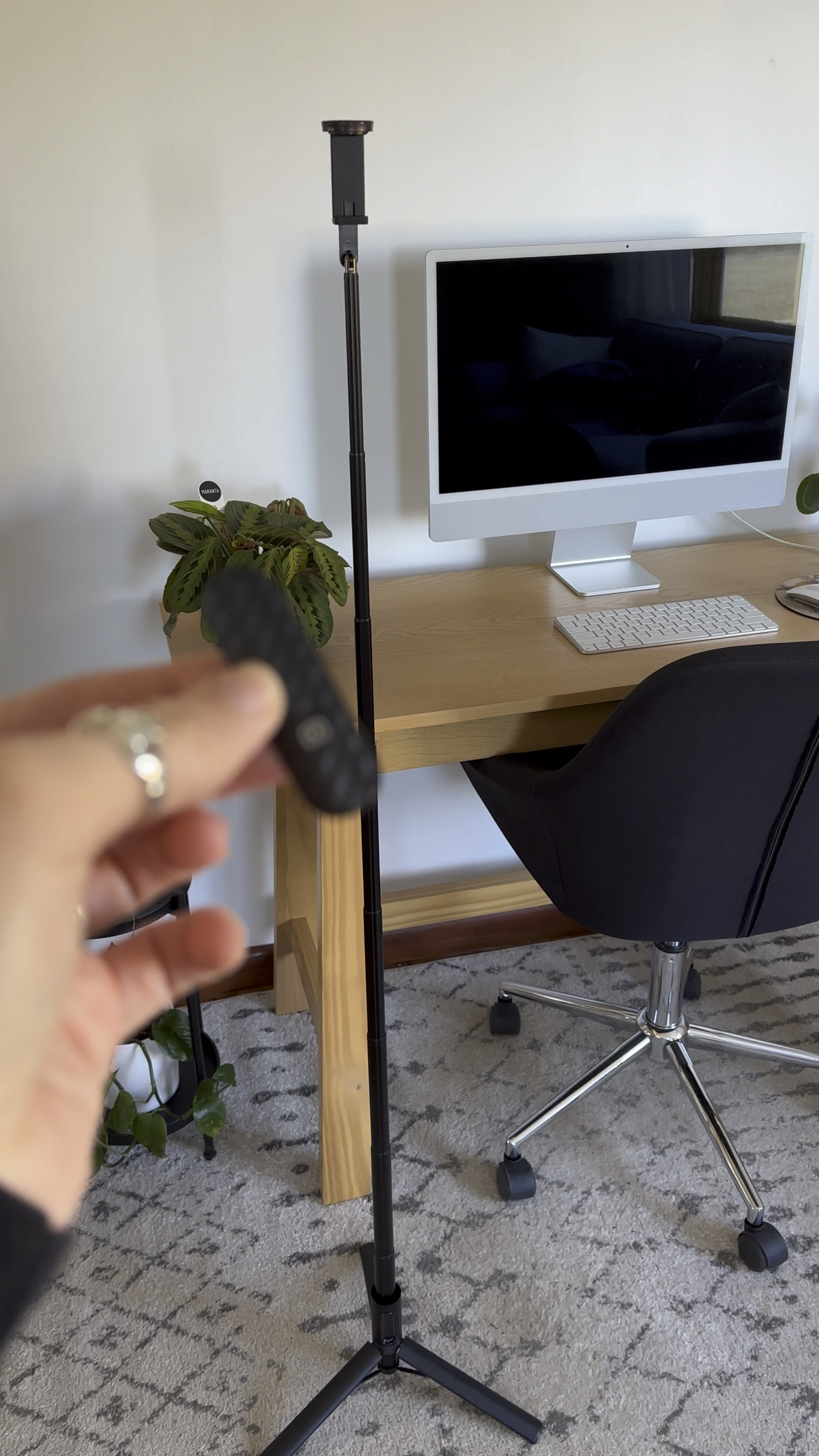 We have gone through SO many tripods and this one is by far our favorite! You can slide your phone in and turn it from horizontal to vertical. It has a Bluetooth remote that you can hold onto to take the photos from a distance. The best part? It is so compact and can easily fit in a backpack for easy traveling!

#LTKtravel