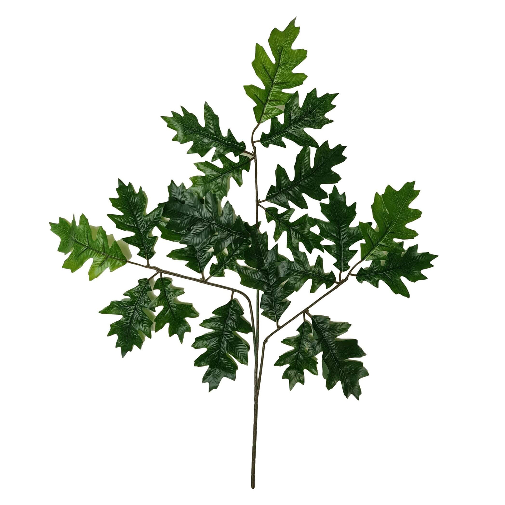 63cm Green Faux Oak Leaf Stems | Temple & Webster AU