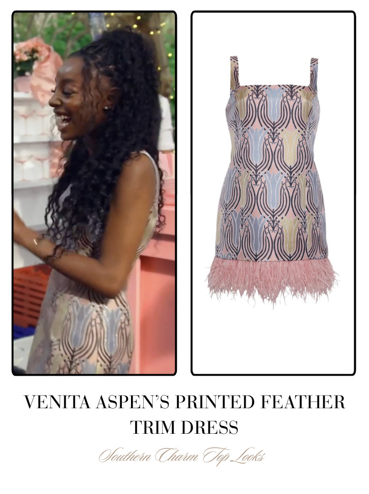 Venita Aspen's Printed Feather Trim Dress  

 