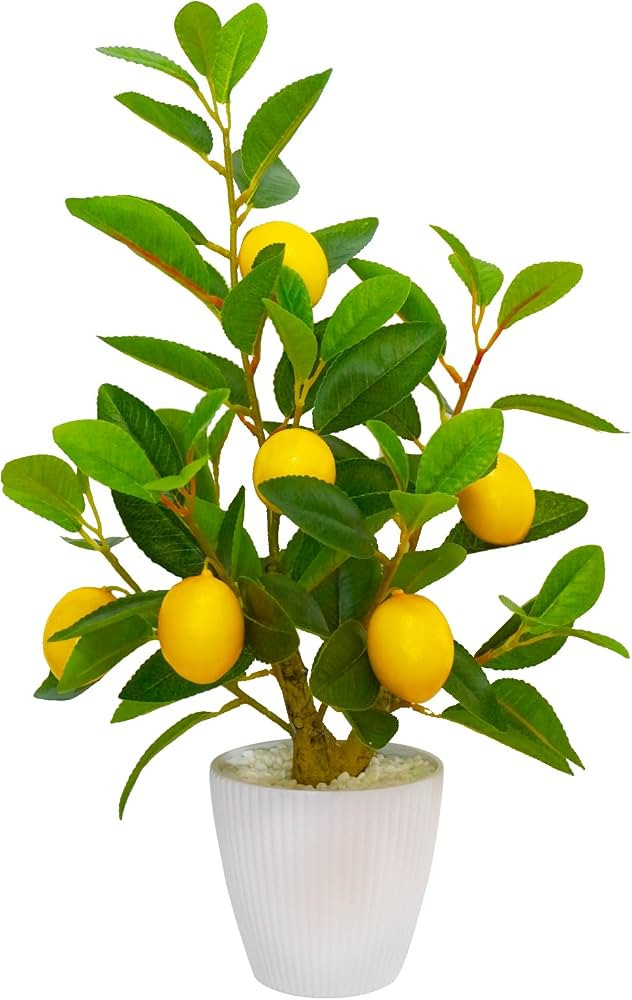 Artificial Faux Lemon Tree Fake Lemons Decor Small Plants Citrus Fruit Tree with White Pot Indoor... | Amazon (US)