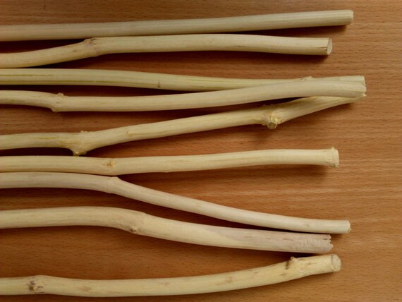 Wooden Rods Macrame. Filler for Vases. Wooden Stick for Crafting. Craft Sticks. Natural Wood Drif... | Etsy (US)