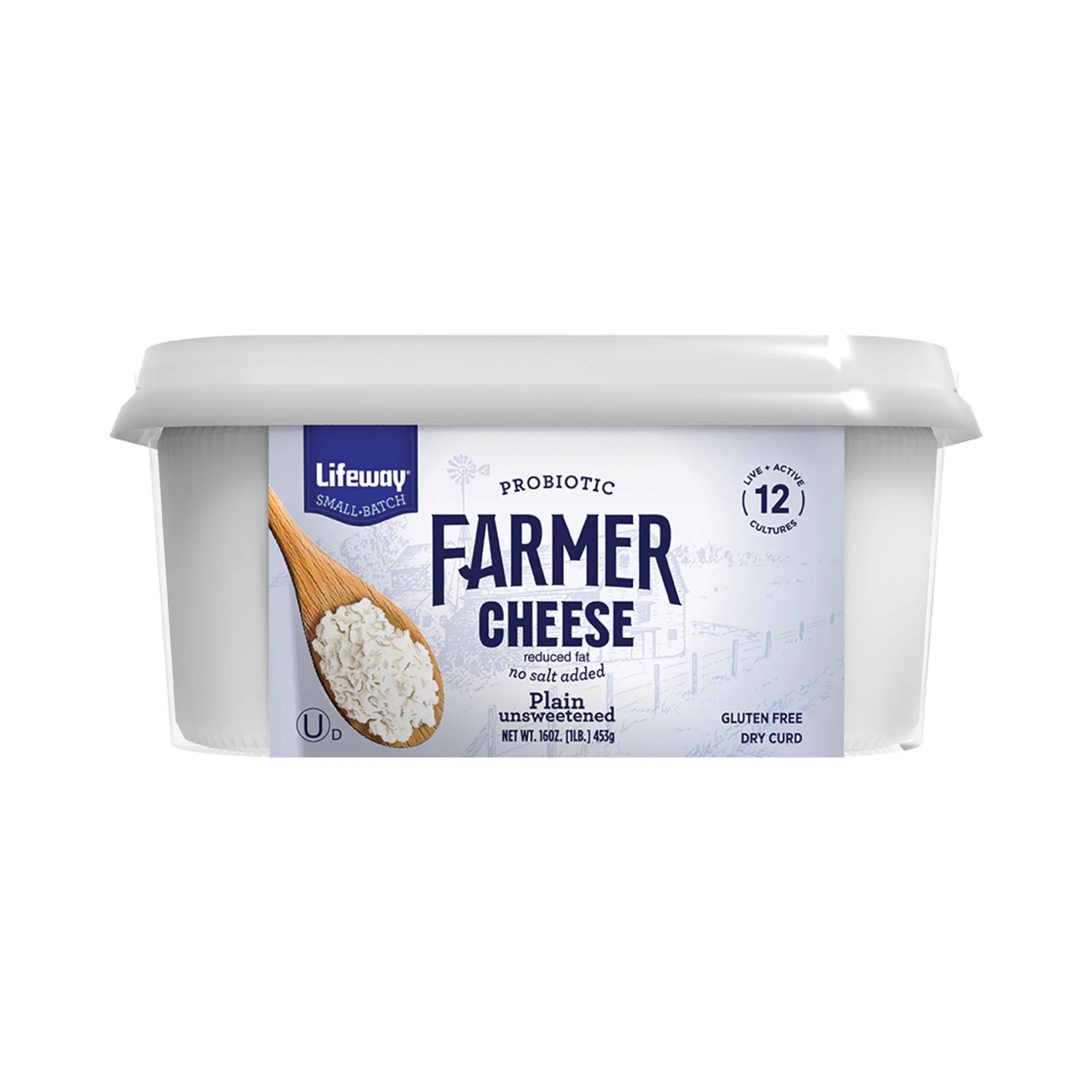 Lifeway Farmer Cheese Spread 16oz Tub | Walmart (US)