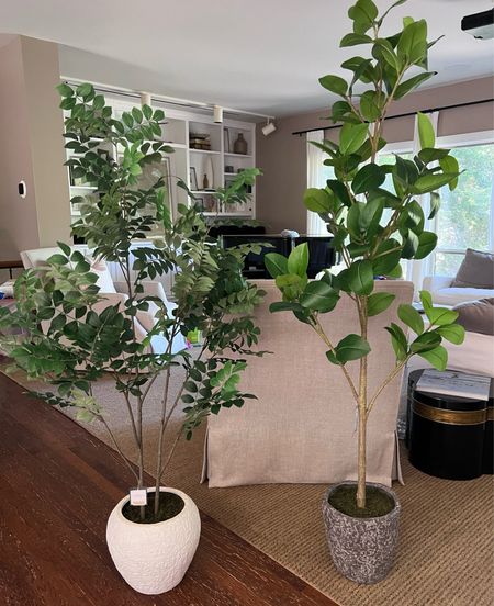 Some of my personal favorite faux trees from Target! This banyan leaf tree is 40% off now✨

Fake tree, faux tree, fiddle leaf fig tree, fake plant, banyan leaf tree, Target, target home, Target finds, home decor finds, budget friendly home decor, sale, sale finds, sale alert, living room decor, bedroom decor, dining room decor, nursery decor, Amazon, Amazon home, Amazon must haves, Amazon finds, amazon favorites, Amazon home decor, #amazon #amazonhome 

#LTKsalealert #LTKhome #LTKstyletip