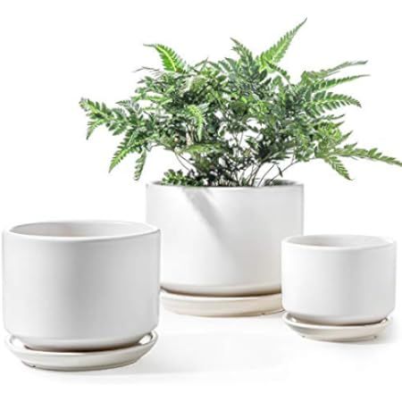 LE TAUCI Ceramic Plant Pots, 4.1+5.1+6.5 inch, Set of 3, Planters with Drainage Hole and Saucer, Ind | Amazon (US)