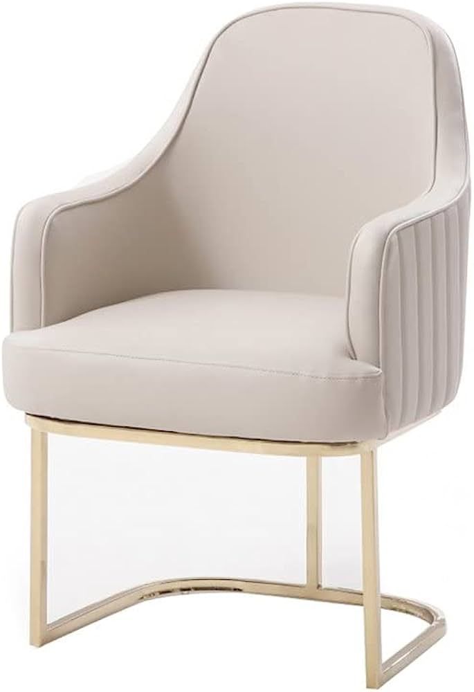 Overstock Modrest Tyler Modern Grey & Gold Dining Chair | Amazon (US)