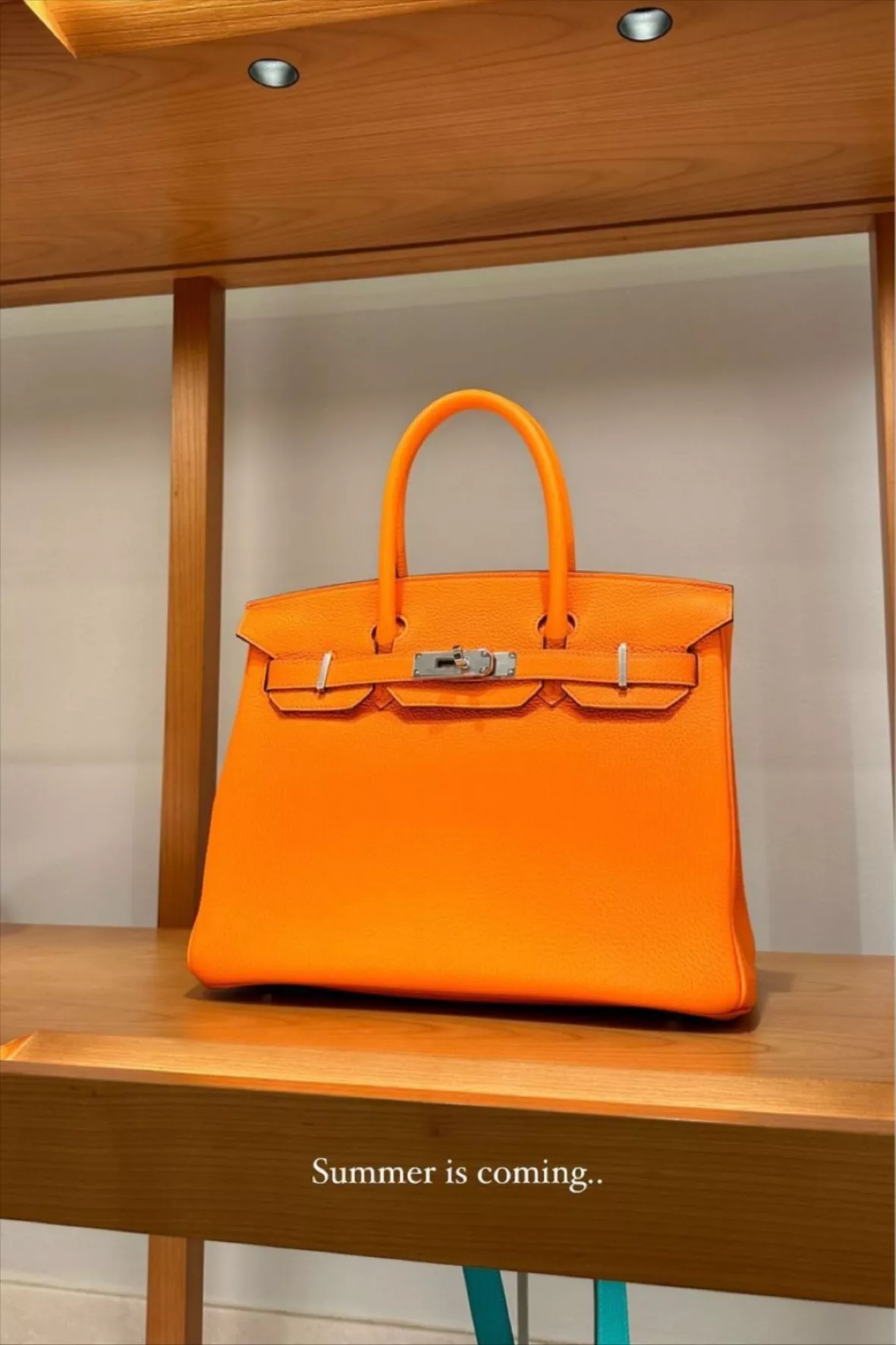 Hermes Orange Birkin 25 Bag curated on LTK