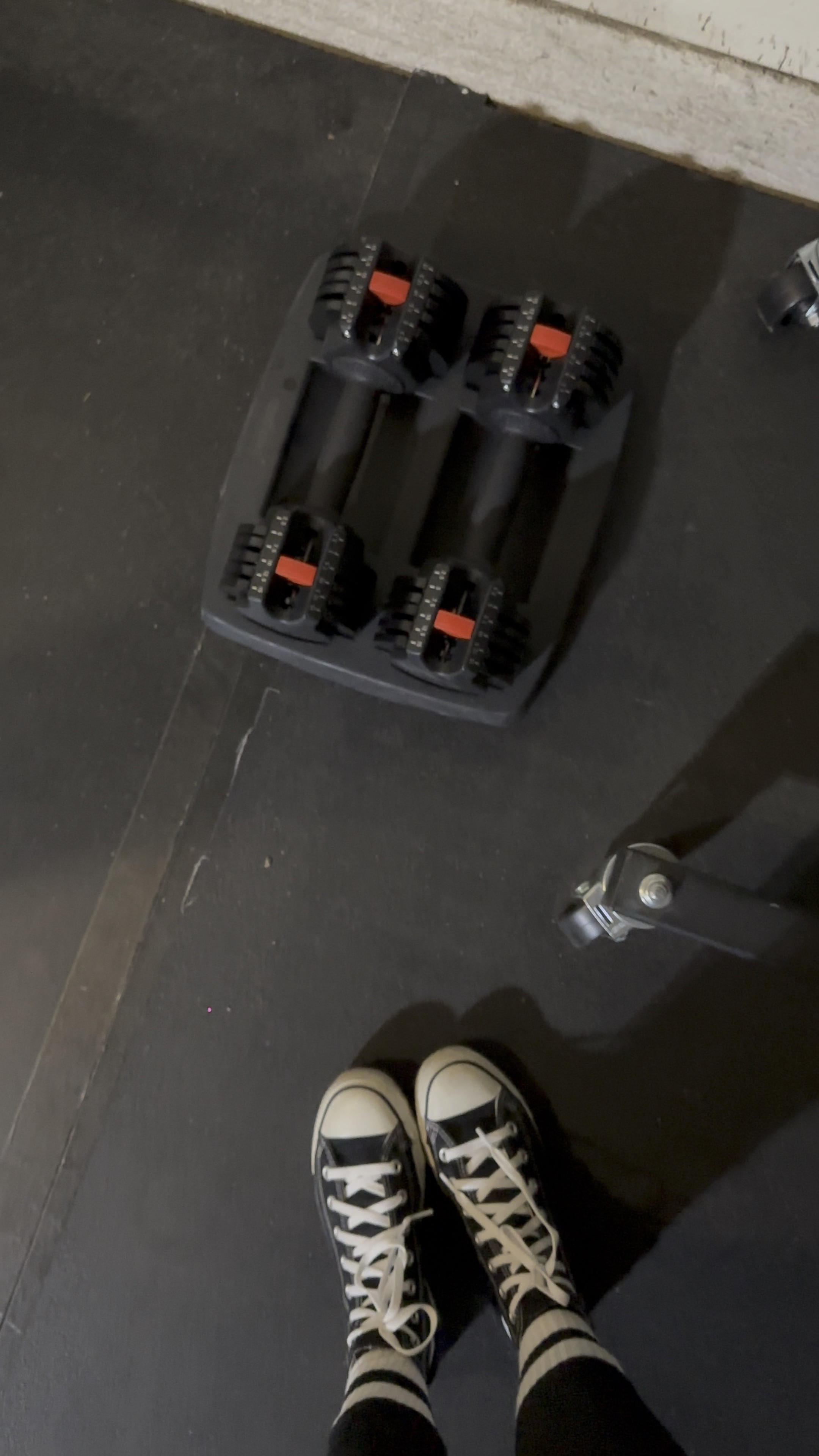 I love these adjustable dumbbells we have in our garage gym! They're great for small space gyms, and we found them on Amazon! Linking those and some other great fitness finds for you.
...................
protein powder amazon finds amazon gift guides amazon gifts converse high tops lifting gear lifting shoes home fitness home gym workout at home best leggings nek massager heating pad massage gun over ear headphones gifts for guys gifts for dad gifts for her gifts for mom gifts for son gifts for fitness lovers fit friend gifts gifts under $50 gifts under $100 blue leggings black leggings ankle weights wrist weights weightlifting gloves lifting gloves headphones headphone covers apple headphones beats headphones 

 #LTKGiftGuide #LTKActive #LTKFitness