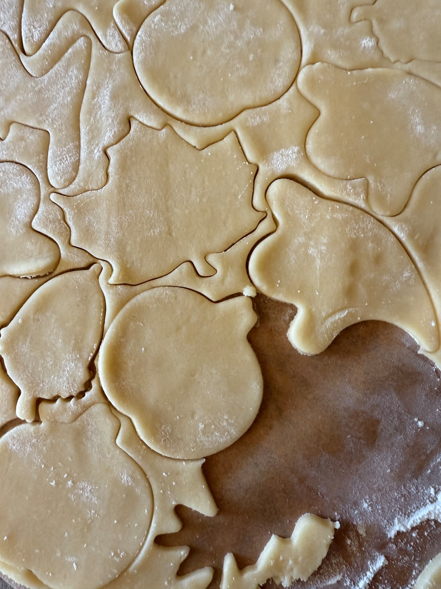 Halloween Cookie Cutters 🎃👻🐈‍⬛🍁

#LTKHalloween #LTKHome #LTKSeasonal