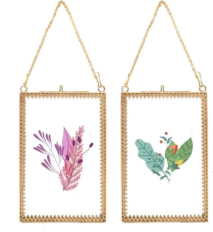LONGWIN 2pcs 4x6 Glass Frame for Pressed Flowers Plants Gold Wall Hanging Floating Picture Frames... | Amazon (US)