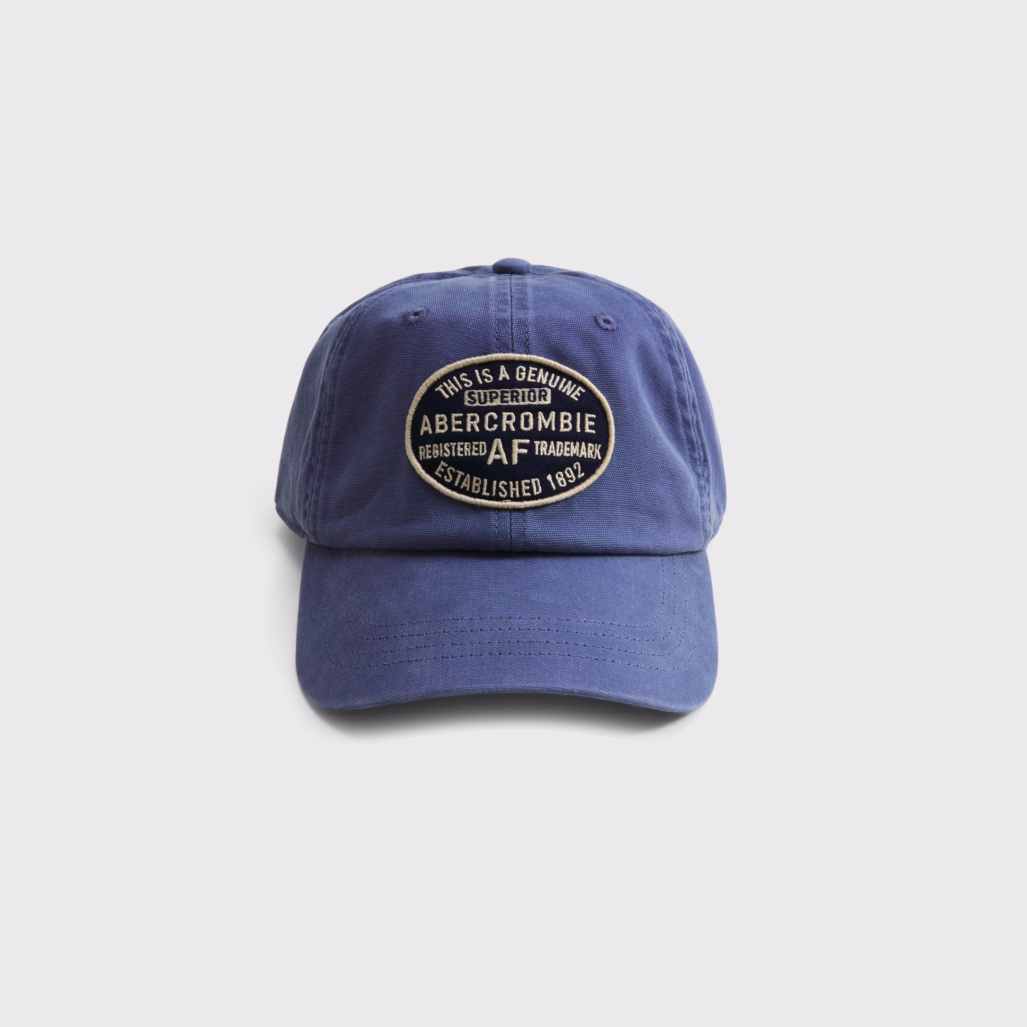 Logo Baseball Hat | Abercrombie & Fitch (US)