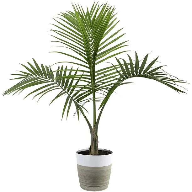 Costa Farms Majesty Palm Tree, Live Indoor Plant, 3 to 4-Feet Tall, Ships with Décor Planter, Fr... | Walmart (US)