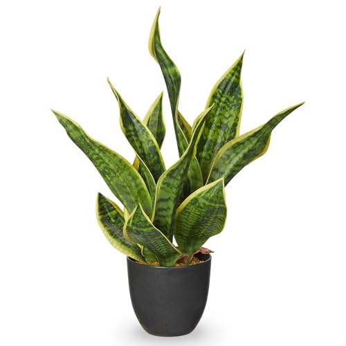 Artificial Snake Plant 11 Inch Small Potted Good Luck Plant Fake Snake Plants Faux Mother In Law Tongue Sansevieria Plant - Fake Laurentii for Indoor Outdoortall Fake Tropical Plant Home Office Decor | Amazon (US)