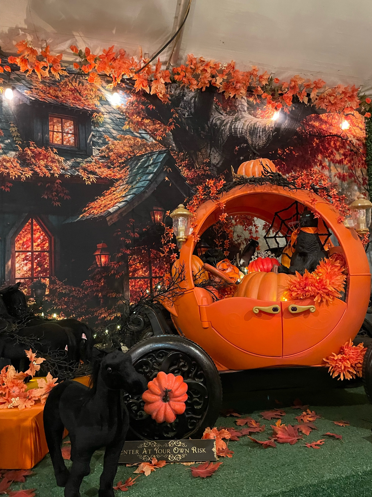 Halloween decorations for your house! 🎃

#LTKSeasonal #LTKHalloween #LTKHome