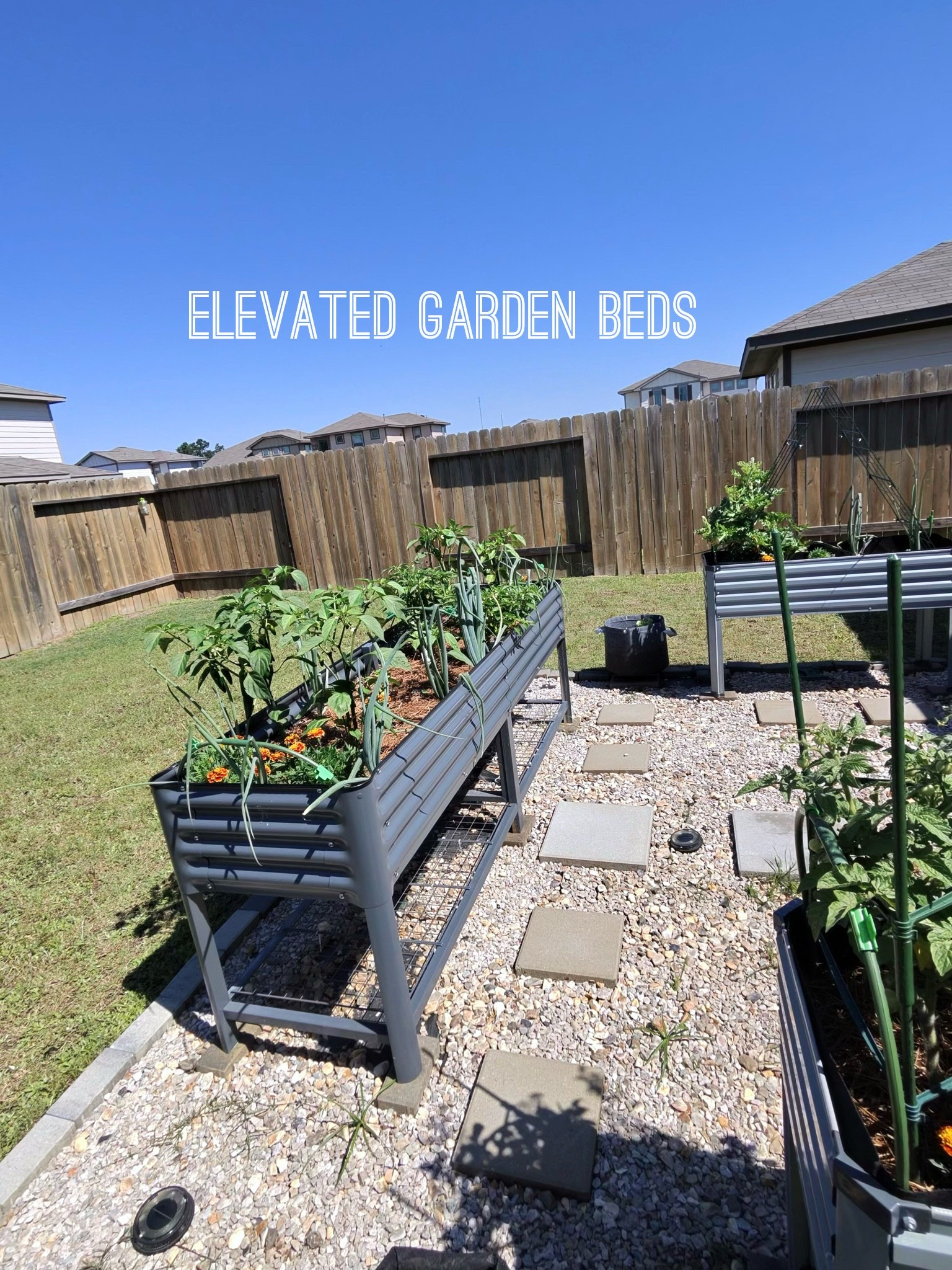 This is your sign that the garden glow-up is worth it. Elevated raised beds (high & low price points 👏🏾), layers of rock and pavers for that clean finish, and more soil mixing than I care to admit… but look at her now.

#GardenTransformation #RaisedGardenBeds #BackyardGlowUp #GardenInspo #OutdoorLiving

#LTKHome #LTKSeasonal #LTKMothersDay