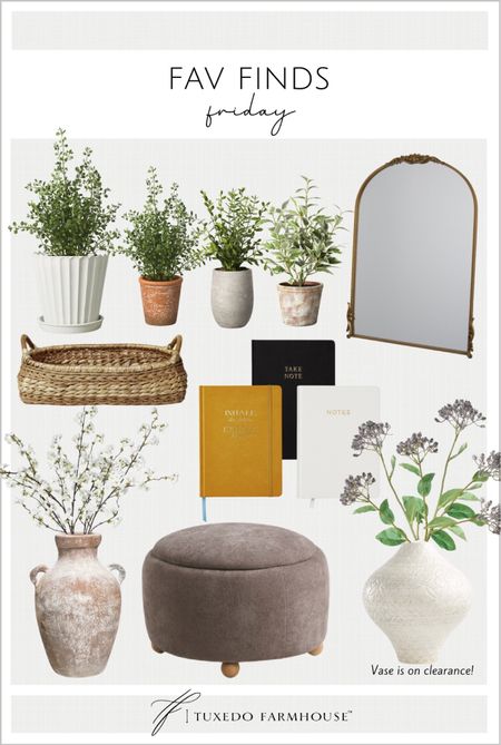 My favorite home decor finds this week. So many cutie small plants! Love them all  

#LTKhome #LTKfindsunder50 #LTKSeasonal