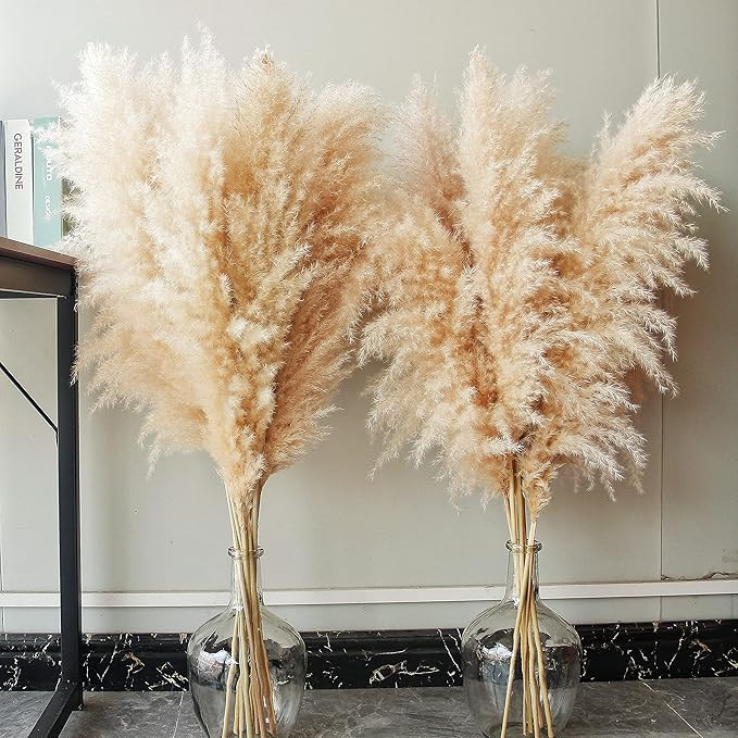 40" inch 10 Stems Natural Pampas Grass Decor Tall, pompas Grass, Tall Pampas Grass for Wedding, P... | Amazon (US)