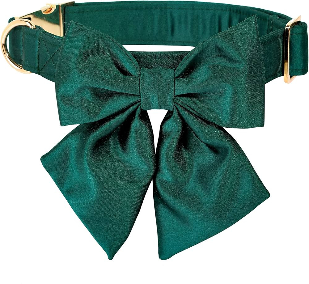 Lionet Paws Bowtie Dog Collar - Comfortable Silk Dog Collar with Detachable Bow Tie for Puppy and... | Amazon (US)