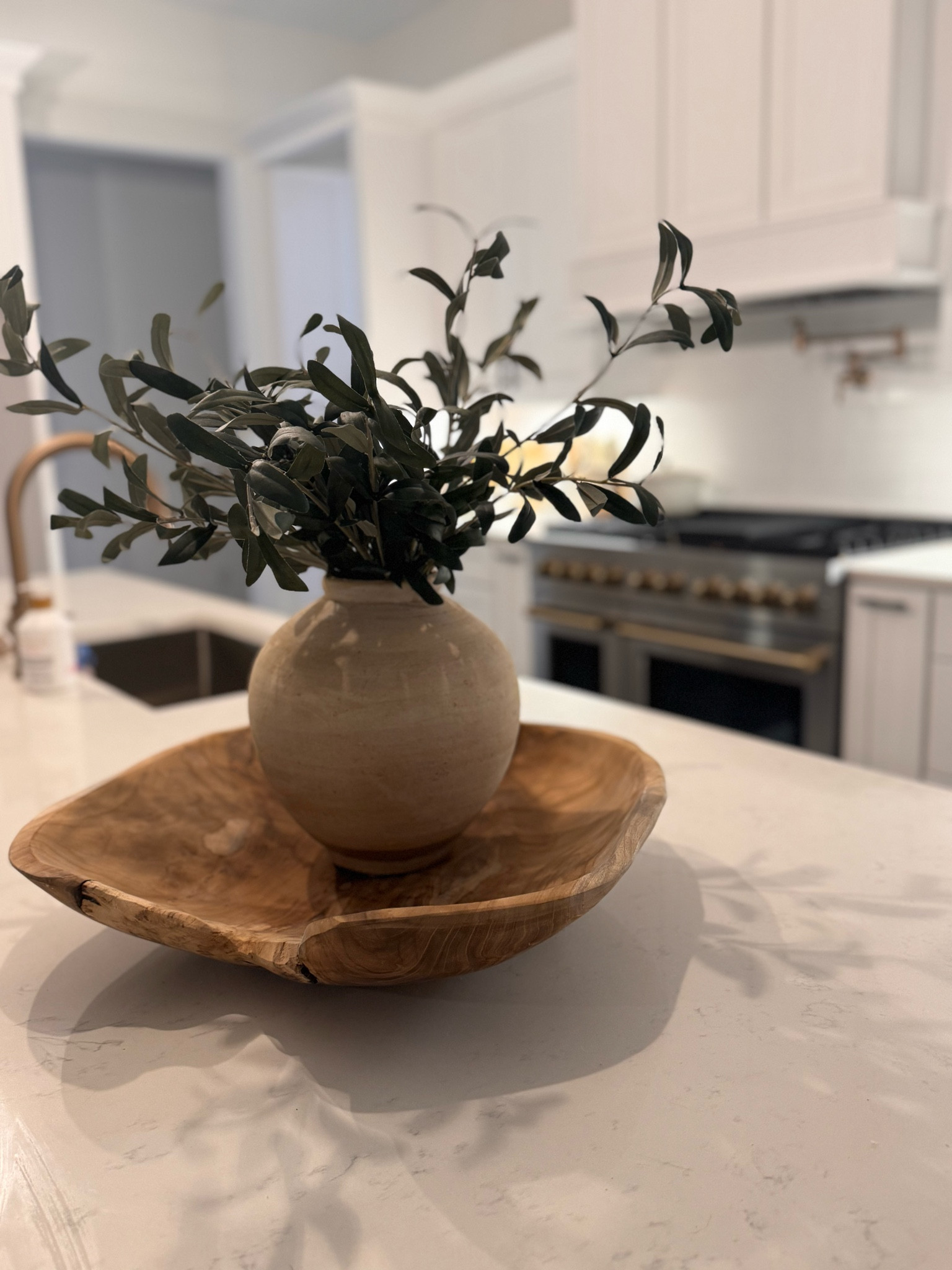 Faux greenery
Pottery barn vase

#LTKHome