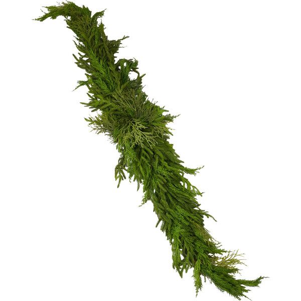 Winter Greenery with Cypress, Norfolk & Pine Centerpiece Table Runner | Maisonette