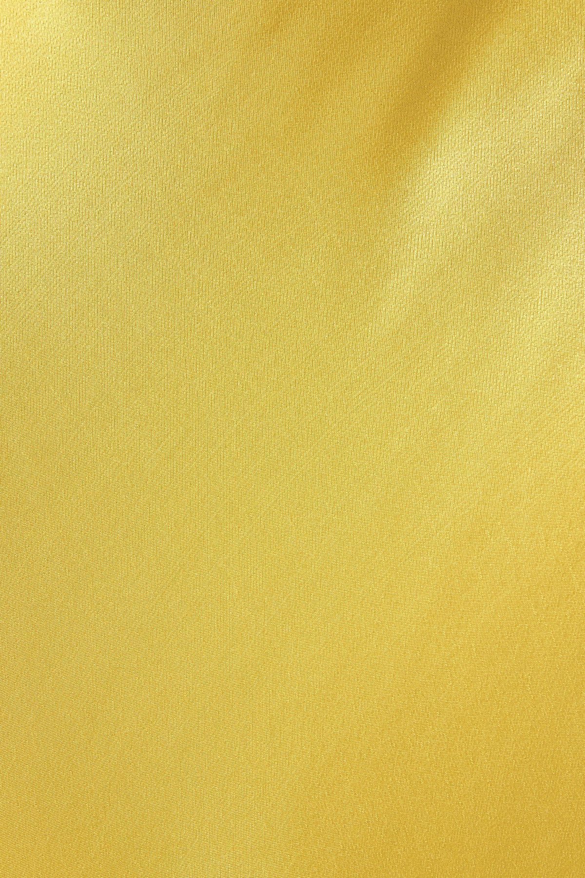 SOFIA BIAS CUT MAXI SKIRT | LIME | SKIRTS | SHONA JOY | Shona Joy