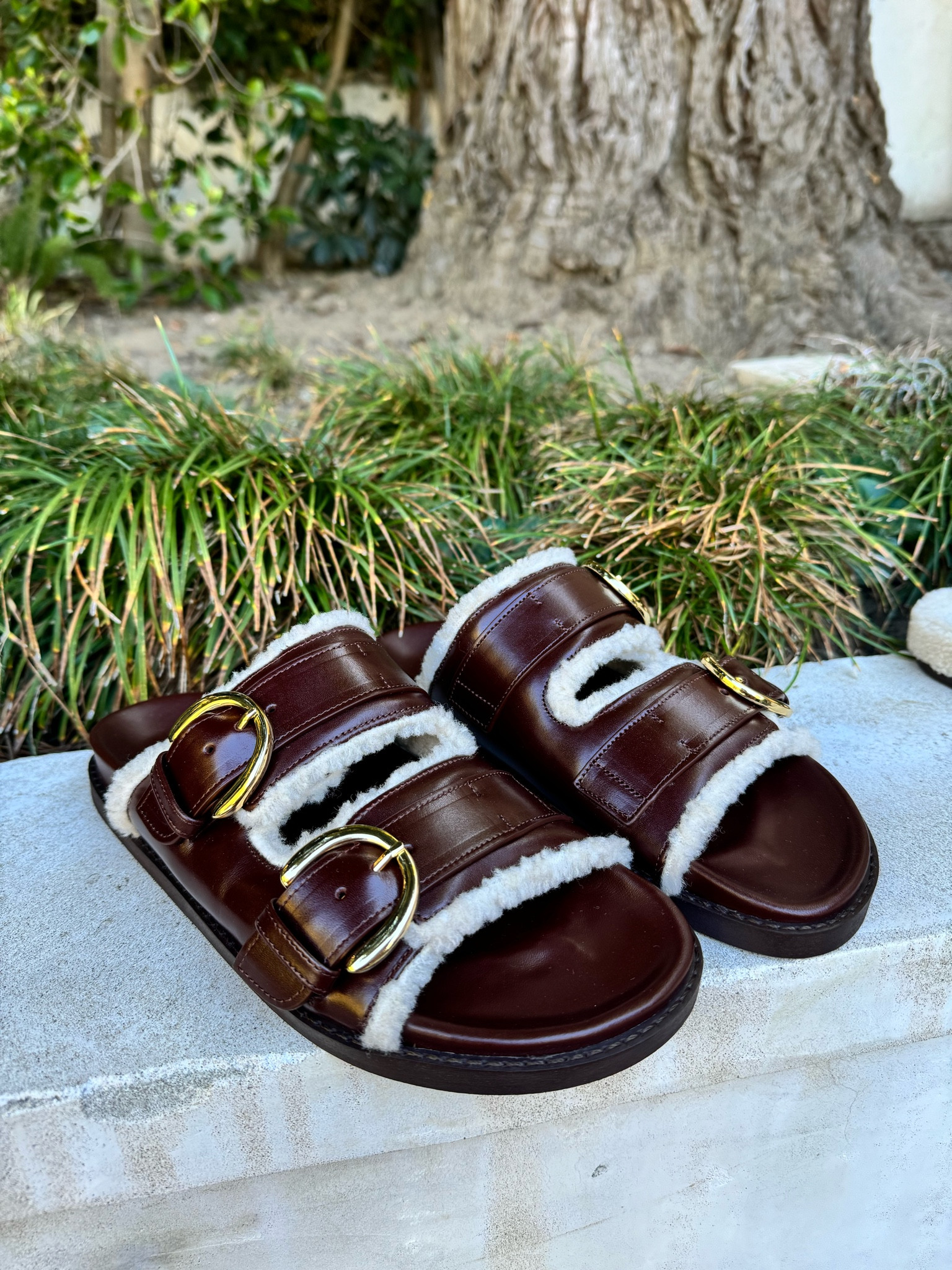 Sezane Fall/Winter shoe haul of my dreams! I’ve never been so in love !! 

#LTKSeasonal #LTKShoeCrush #LTKHoliday