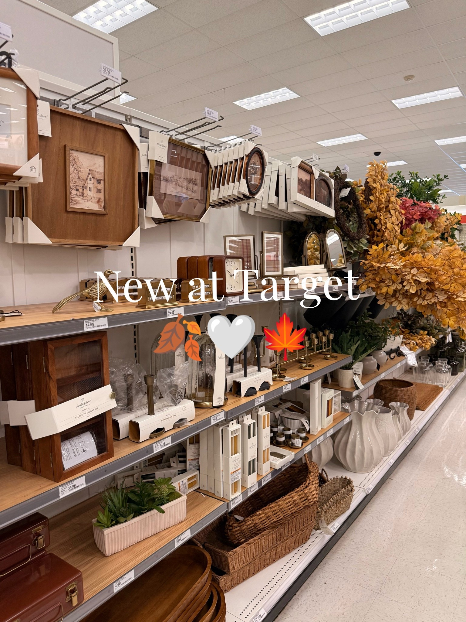 Target is officially rolling out fall decor, and it’s so good this year. 🍁 Sharing a few of my favorite finds!

#LTKSeasonal #LTKHome