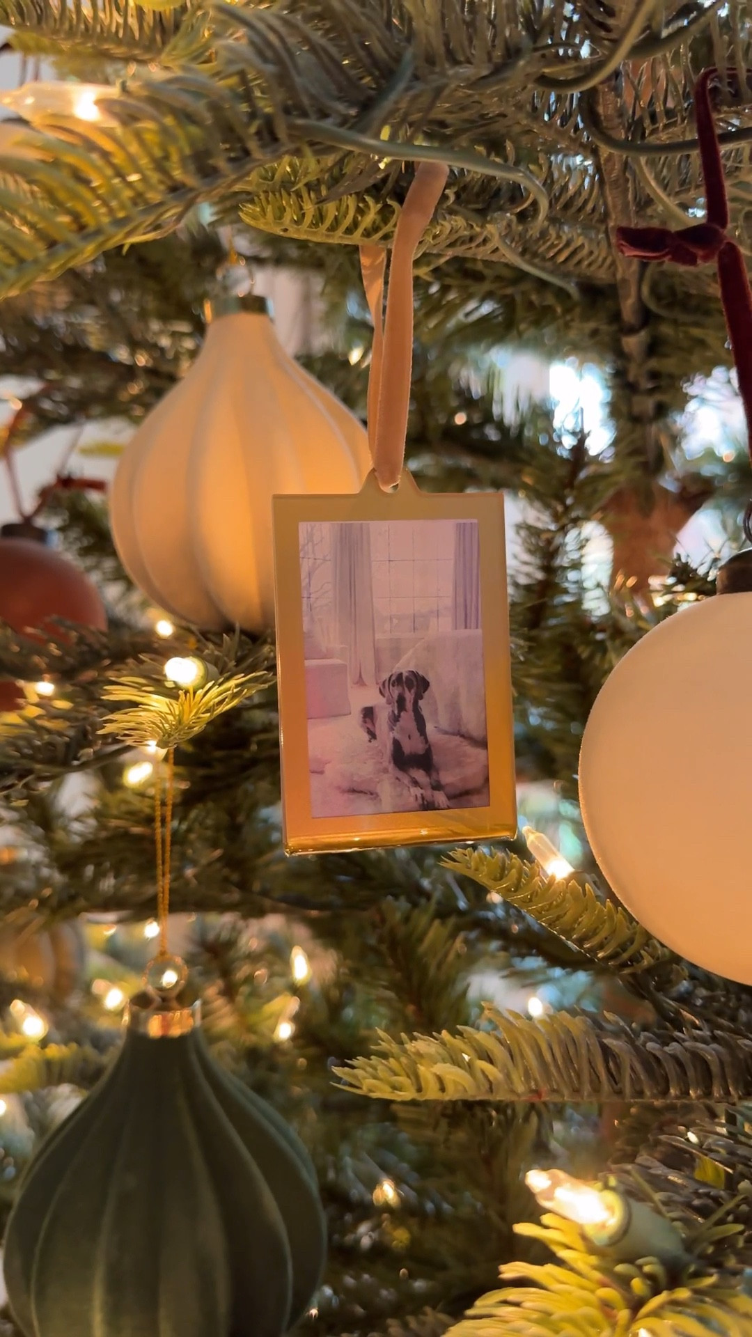 Ornament Frames

Ornament Inspo  frames  ornamnet frames  Christmas tree decor  Holiday decor  holiday home  Christmas home  Home  home decor  ArchedManor  

#LTKHoliday #LTKSeasonal