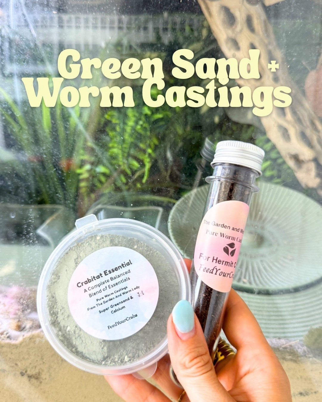 Worm castings and green sand for hermit crabs