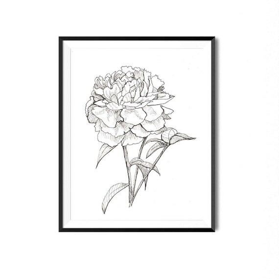 Peony Print Flower Art Botanical Illustration Wall Art | Etsy | Etsy (US)