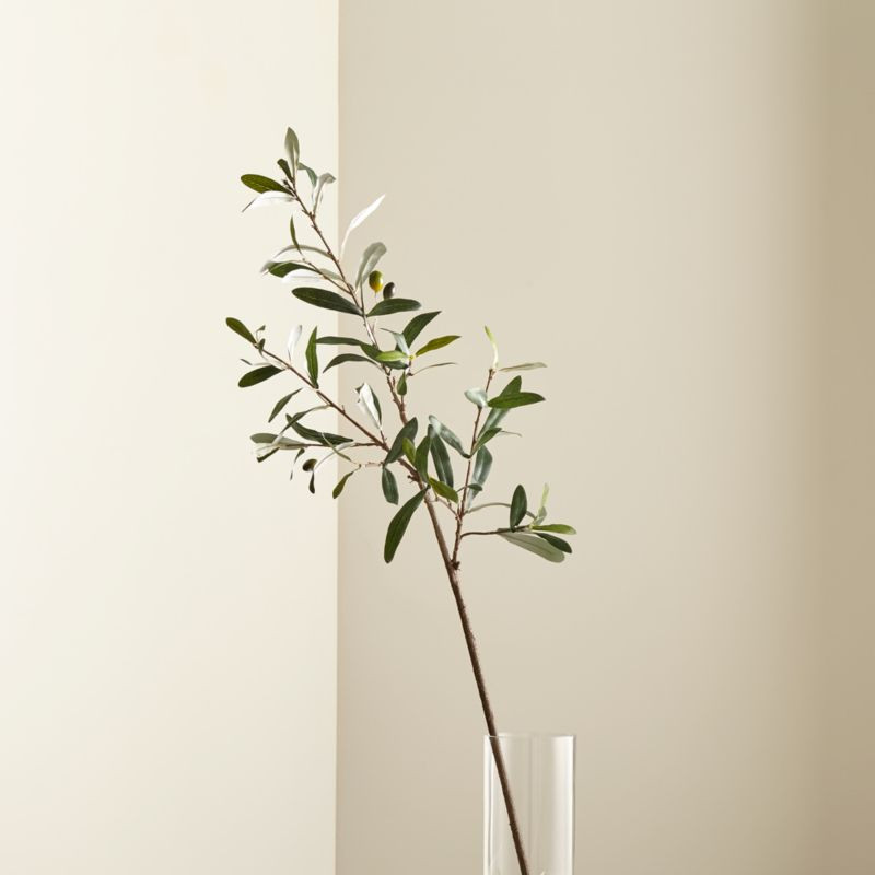 Faux Olive Stem + Reviews | Crate & Barrel | Crate & Barrel