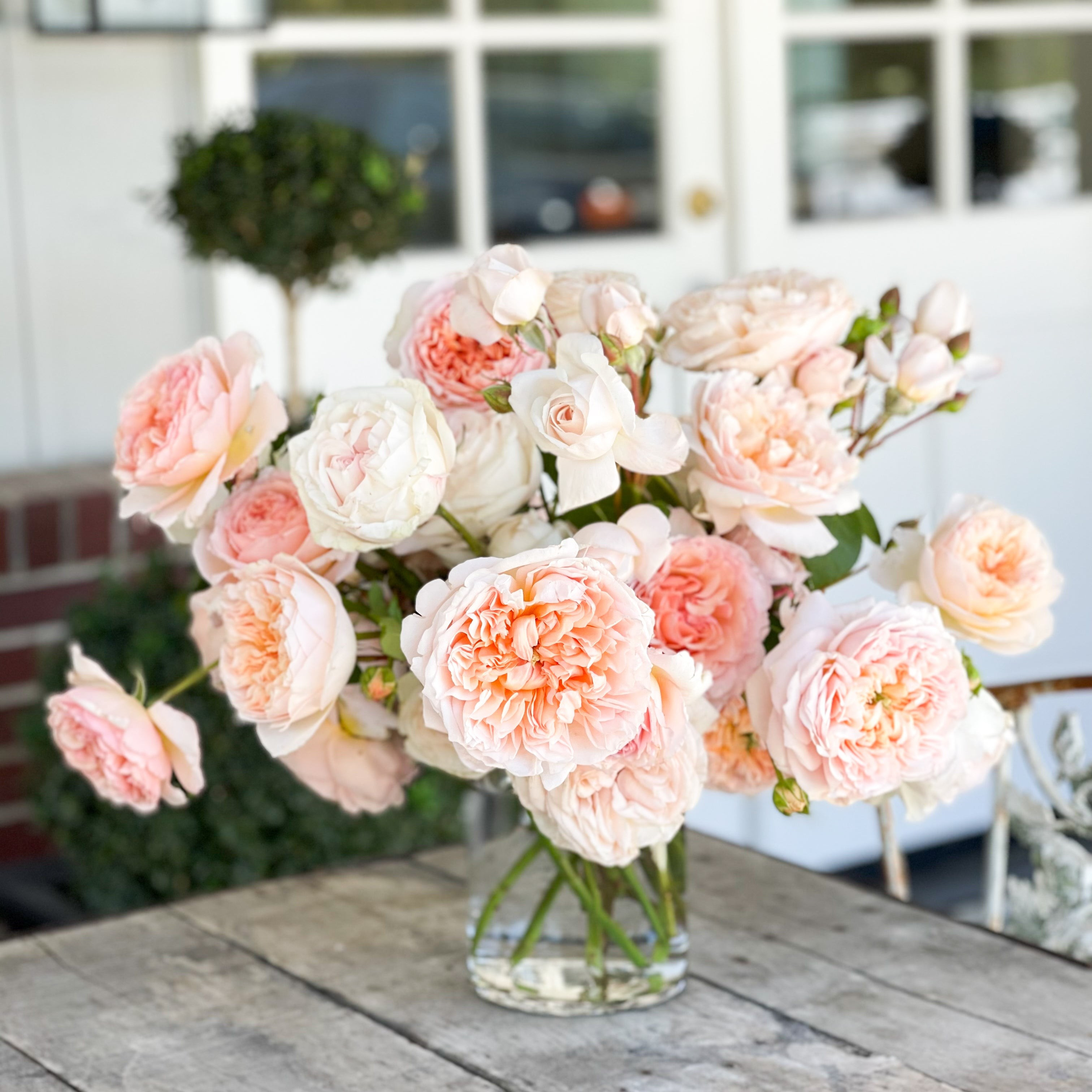 Ruthie | grace rose farm