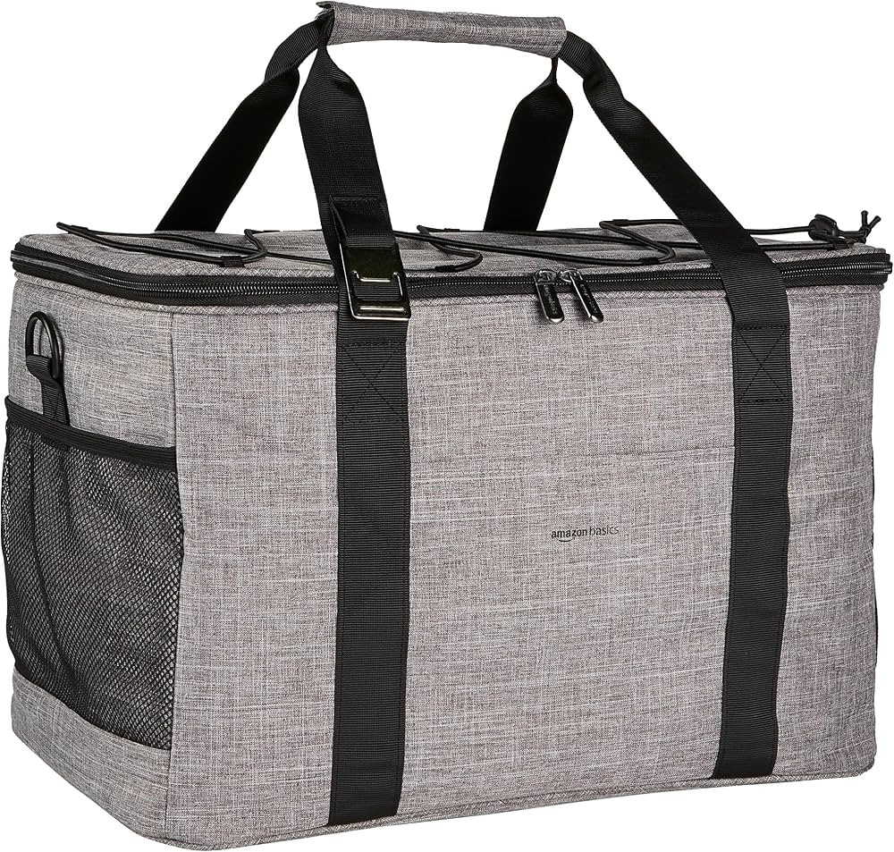 Amazon Basics Soft Insulated Cooler | Amazon (US)