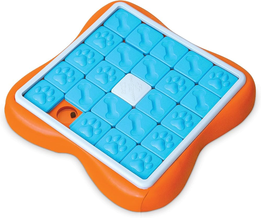 Outward Hound Nina Ottosson Challenge Slider Interactive Treat Puzzle Dog Enrichment Toy, Level 3... | Amazon (US)