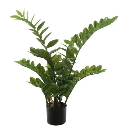 Vickerman 28 Potted Green Zamifolia Bush - Black Plastic Pot - Lifelife Home Or Office Decor - Faux  | Walmart (US)