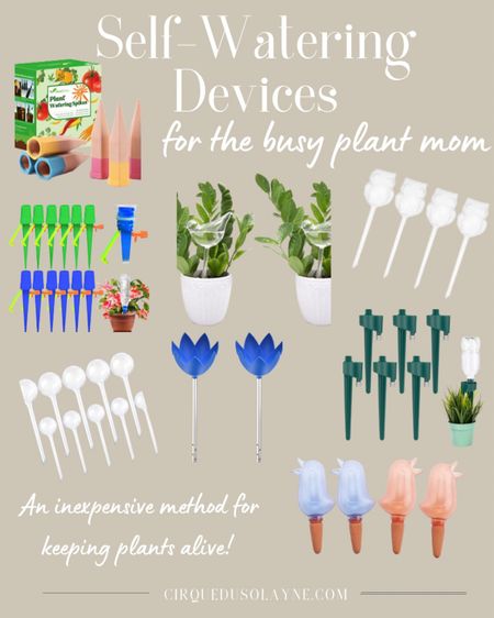 Watering bulbs for the busy mom. How to keep plants alive. Gardening tips. Gardening tools. Houseplant tools. 