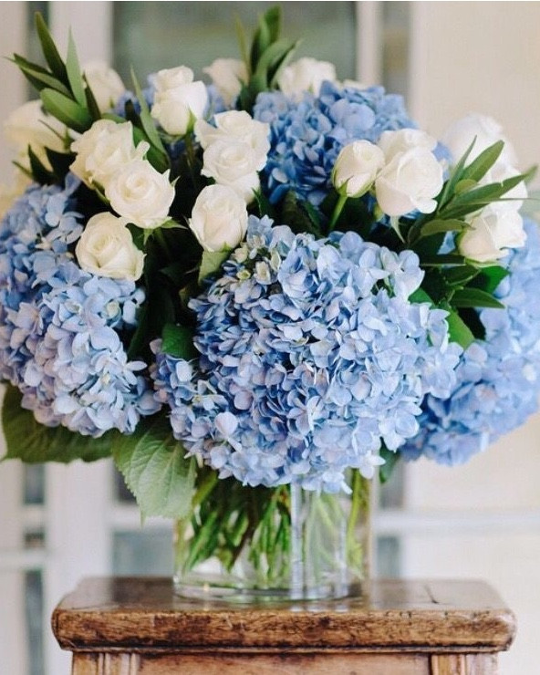 Soft blue hydrangeas that never fade and always elevate the space 🤍💙

These faux hydrangeas bring that fresh cottage feel without the maintenance. Perfect for styling shelves, dining tables, or any little space that needs a soft, timeless touch.

All images are for inspiration. Some links are exact, others are very similar options to recreate this same look.

#LTKSeasonal #LTKvlog #LTKHome