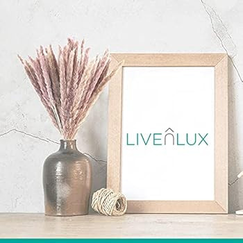 Live n' Lux Natural Pampas Grass Decor - Decorative Dried Plants for Centerpieces, Wreath, Bouque... | Amazon (US)